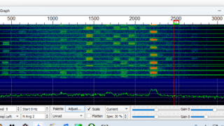 12m FT4