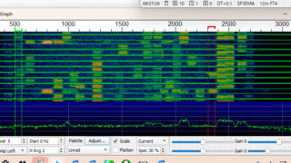 12m FT4