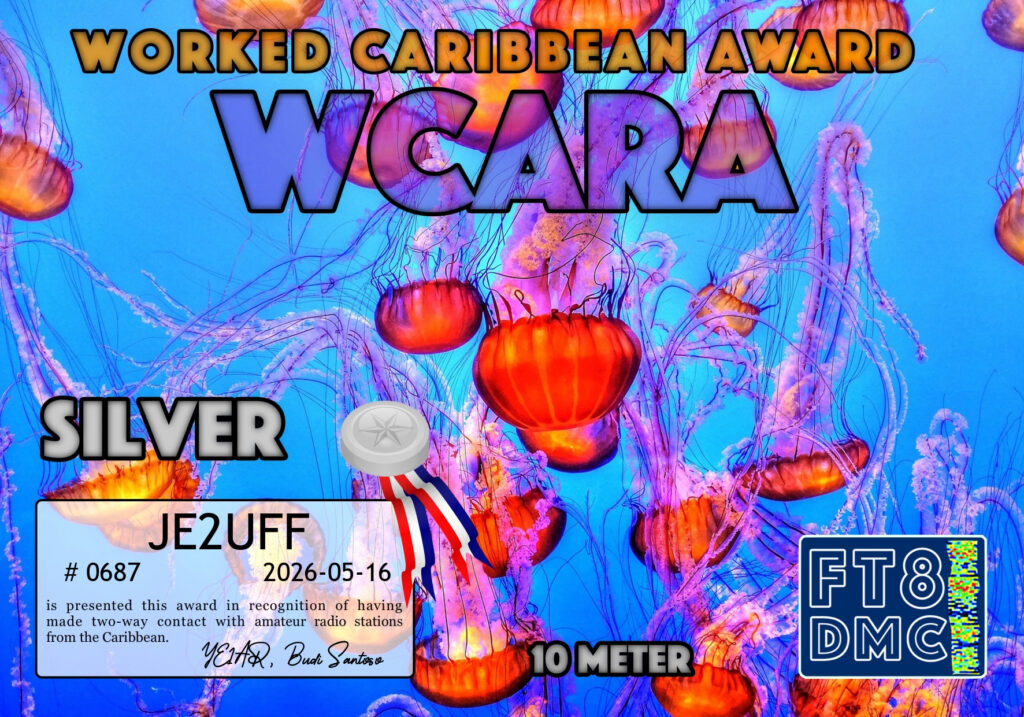 WCARA10-SILVER