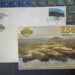 ZS8W QSL